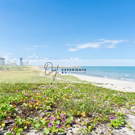 Cb1528 | Balcón Lounge Vista Al Mar 15 Piso Apartamento