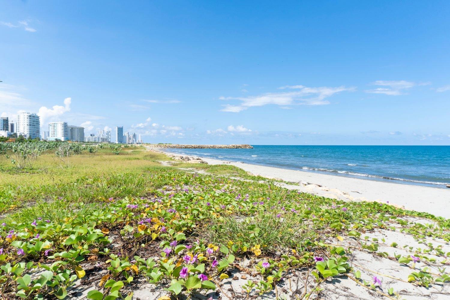 Cb1528 Hermosa - Loft Frente Al Mar Crespo Cartagena